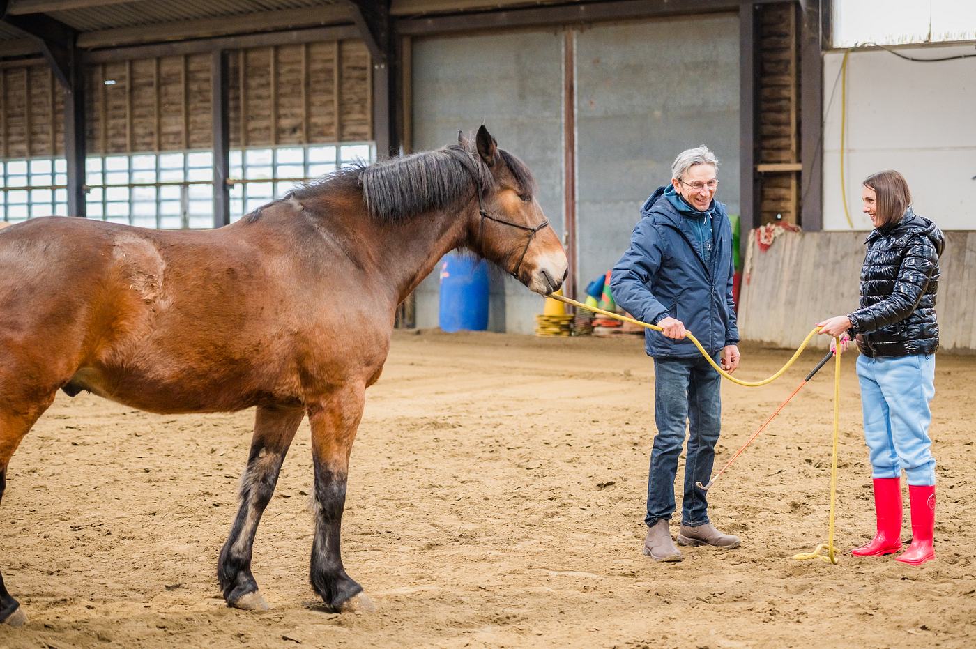 Un participant en travail au sol avec un cheval