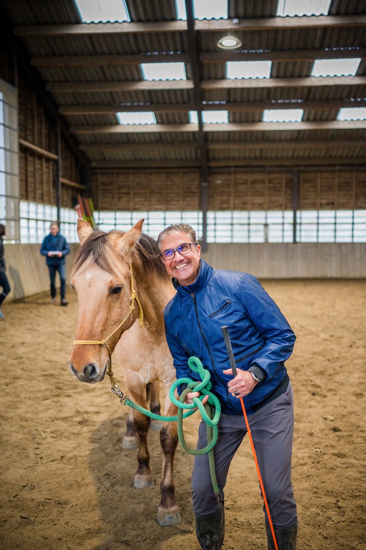 Travail avec un cheval pendant la formation