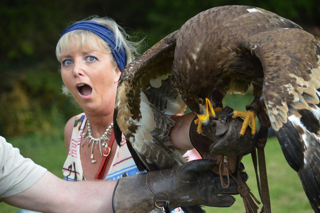 Un Perchoir au Mastermind des Aigles
