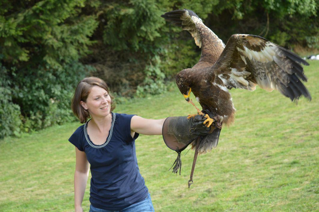 Une séance du Mastermind des Aigles